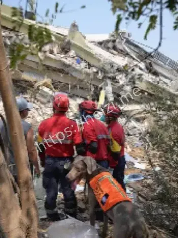湖北襄阳保康县3.6级地震
