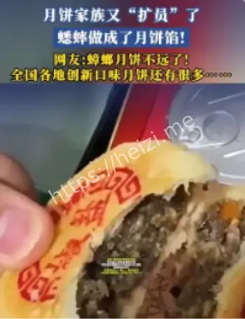 蟋蟀月饼营养分析